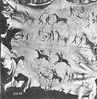 Animal_skin.jpg