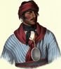 selocta-creekchief.jpg