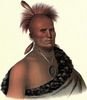 sharitarishpawneechief.jpg