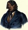 waapashaw.jpg