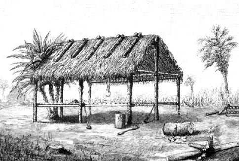 Seminole Dwellings